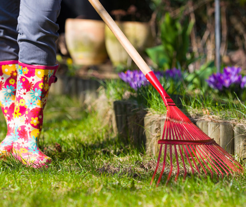 spring cleanup, aeration