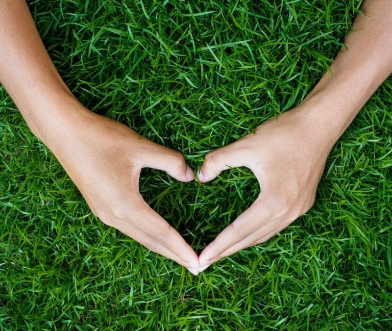 Your Marlborough, MA lawn needs love to protect it from lawn diseases this spring.