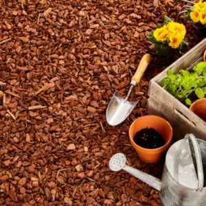 Applying mulch to your flower beds helps prevent weeds from spreading to your lawn in Marlborough MA