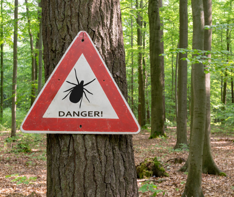 Fall Tick Prevention: Tips to Keep Your Property Tick-Free