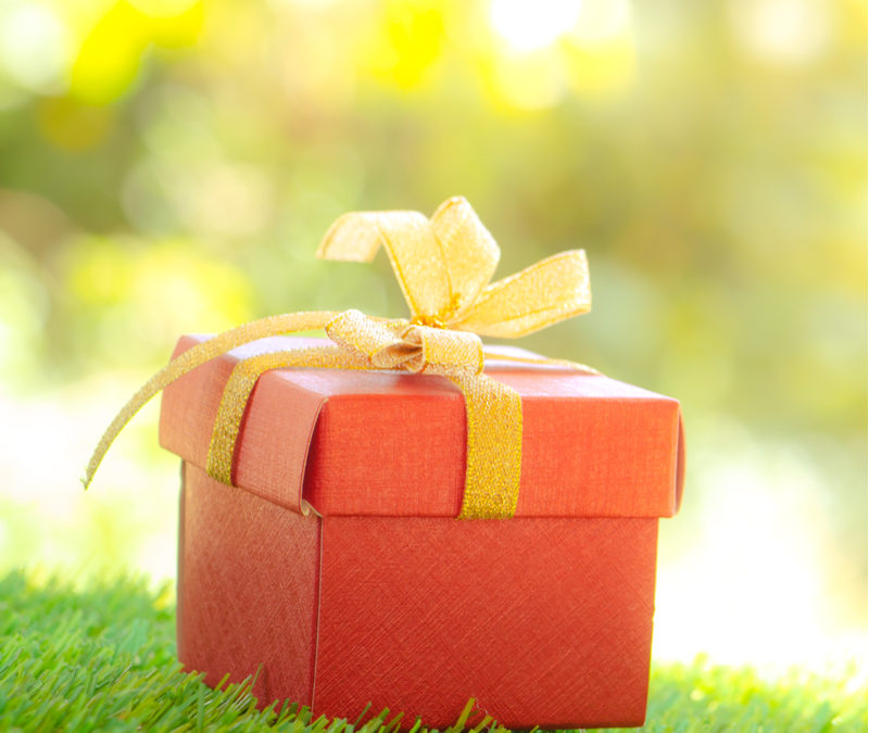 Give the Gift of a Lawn Care Program From Barefoot Lawns