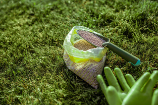 Can I Fertilize My Lawn, Or Should I Hire Someone?
